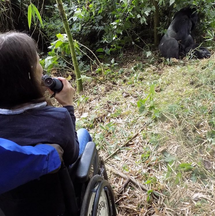Susie in her wheelchair using binoculars to look at the gorillas