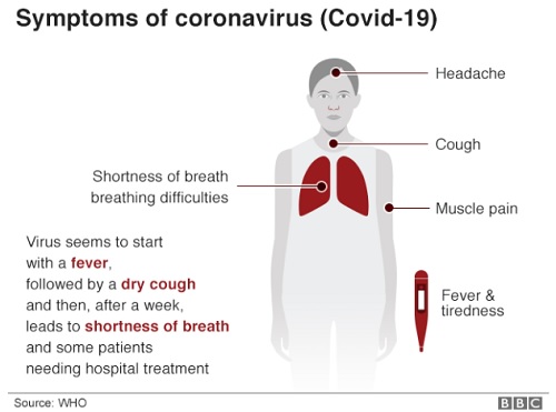 Symptoms of coronavirus infographic