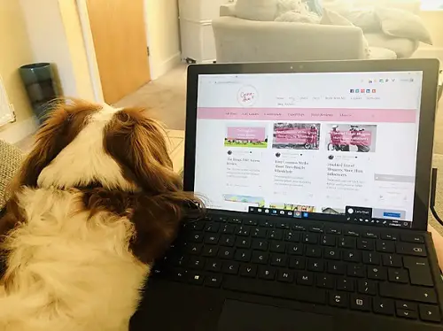 Carrie-Ann's laptop on her lap with her dog next to it on the sofa