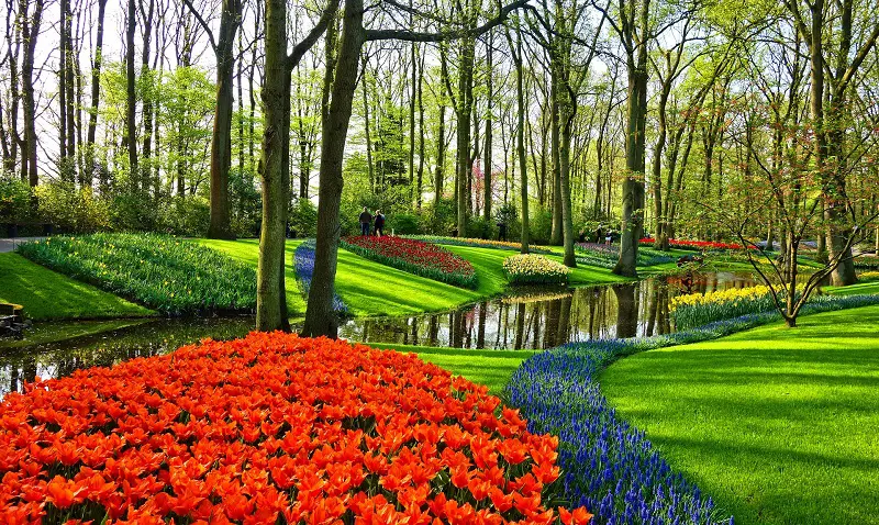 Keukenhof with colourful tulips Holland