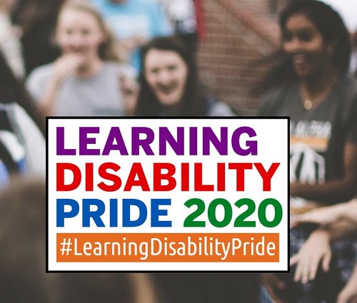 Learning Disability Pride logo