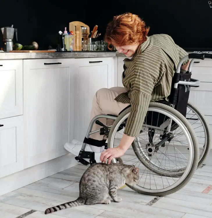 Woman in a wheelchair in her white kitchen stroking her cat on the floor