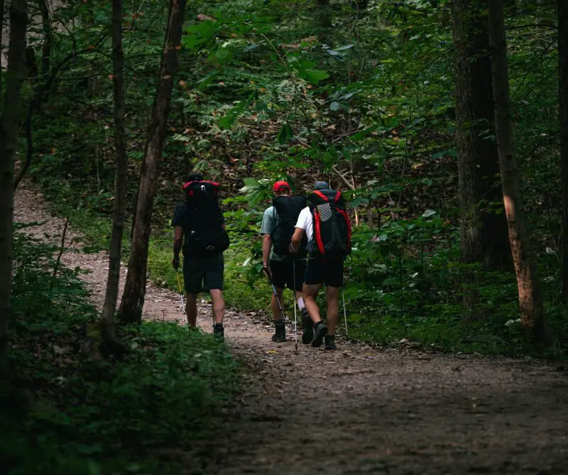 Three men walking in a wood carrying backpacks