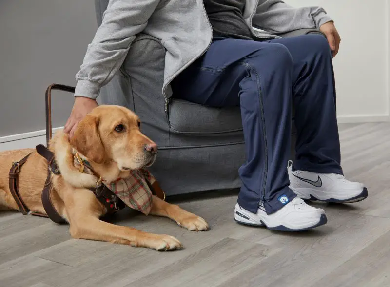 ZipOns adaptive trousers being worn by a man sat on a great armchair with his assistive dog sat next to him on the floor