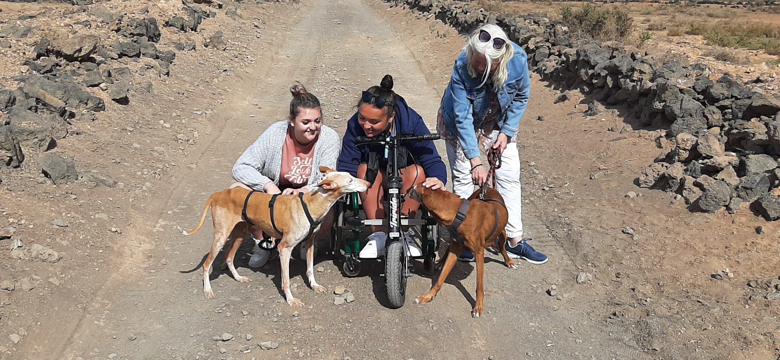 Three women with two dogs. One in a wheelchair.